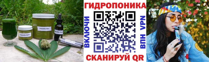 ссылка на мегу как войти  где купить наркотик  Ачхой-Мартан  Canna-Cookies конопля 