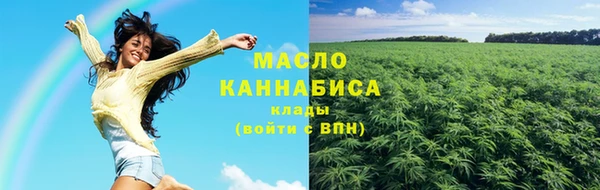 амф Бородино