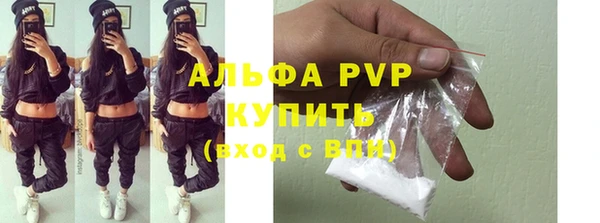 амф Бородино