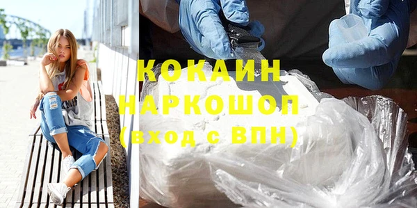 амф Бородино
