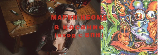 амф Бородино