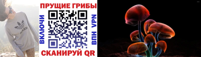 даркнет какой сайт  Ачхой-Мартан  Галлюциногенные грибы Magic Shrooms 